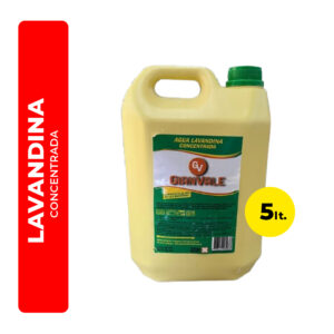 LAVANDINA GIANVALE 5L