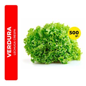 LECHUGA CRESPA 500G