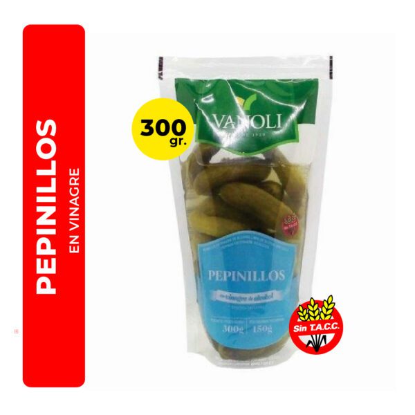 PEPINILLOS EN VINAGRE VANOLI 300G