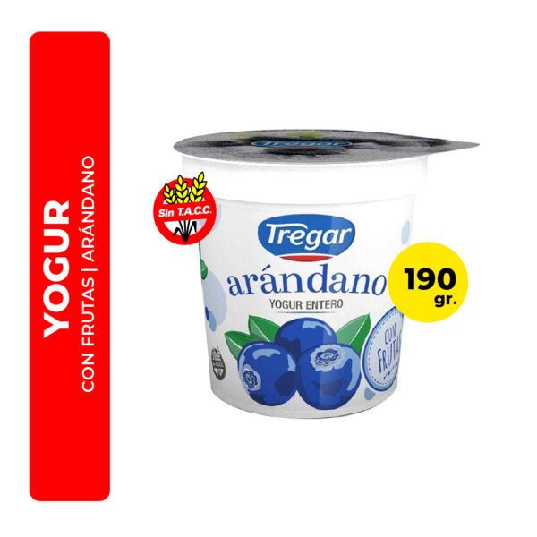 YOGUR DE ARÁNDANO CON FRUTAS TREGAR 160G