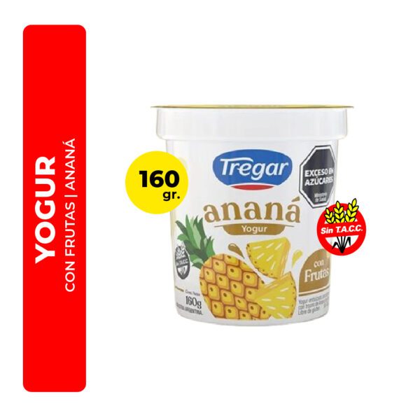 YOGUR DE ANANÁ CON FRUTAS TREGAR 160G