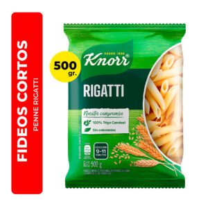 FIDEOS PENNE RIGATTI KNORR 500G