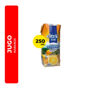 JUGO DE NARANJA CITRIC 250ML